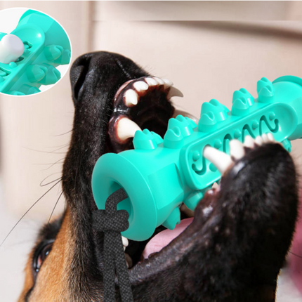 Dog Chew Toys Pet Toothbrush Rubber Bones Teeth Cleaning