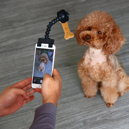 Pet Photography Tool Cat Dog And Dog Viewing Lens Teddy Camera Toy