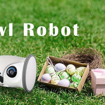 Eagle-style Pet Treat Dispenser Toy