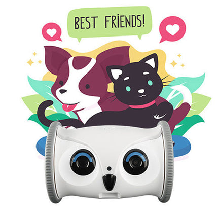 Eagle-style Pet Treat Dispenser Toy