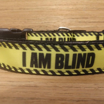 Collar and Leash Combo/ Large/ Blind