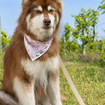 Knit Hat with Pom and Vegan Leather Dog Leash