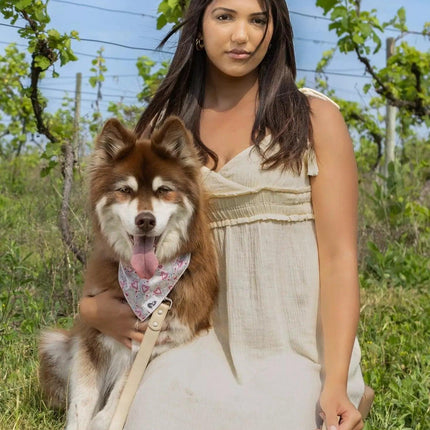 Knit Hat with Pom and Vegan Leather Dog Leash