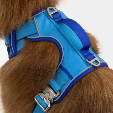 Dockside Adventures Ultimate Harness