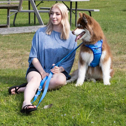 Ultimate Designer Dog Harness - Stylish and Comfortable with