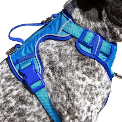 Ultimate Designer Dog Harness - Stylish and Comfortable with