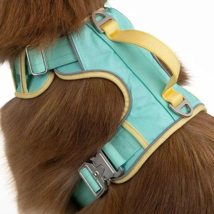 Ultimate Designer Dog Harness - Stylish and Comfortable with