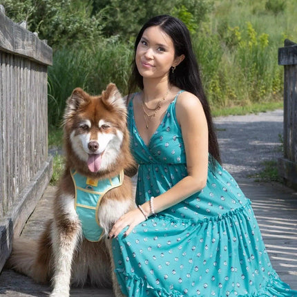 Ultimate Designer Dog Harness - Stylish and Comfortable with