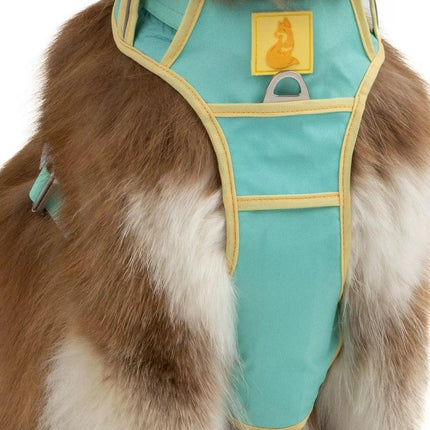 Ultimate Designer Dog Harness - Stylish and Comfortable with