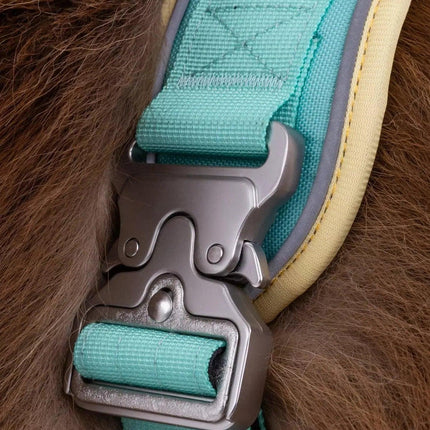 Ultimate Designer Dog Harness - Stylish and Comfortable with