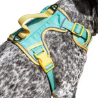 Small / Aqua / Sunshine Yellow