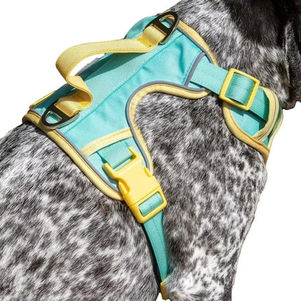 Ultimate Designer Dog Harness - Stylish and Comfortable with