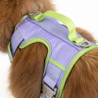 Medium / Lavender / Meadow Green