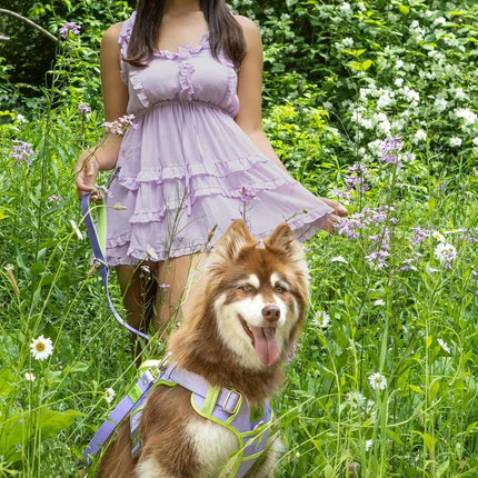 Ultimate Designer Dog Harness - Stylish and Comfortable with
