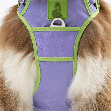 Ultimate Designer Dog Harness - Stylish and Comfortable with