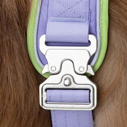 Ultimate Designer Dog Harness - Stylish and Comfortable with