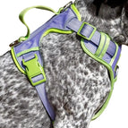 Small / Lavender / Meadow Green