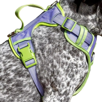 Ultimate Designer Dog Harness - Stylish and Comfortable with