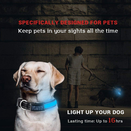 USB and Solar Charge Reflective Led Dog Collar