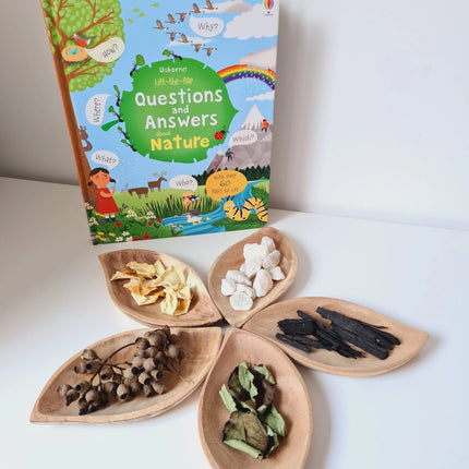 QToys Australia (USA) Leaf Tray Set