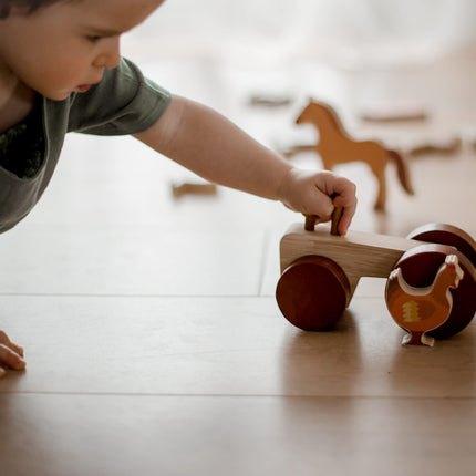 QToys Australia (USA) Farm Animals & Tractor Set